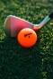 Golf Balls personalized SRIXON Soft Feel BRITE Orange  x¹²